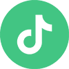 TikTok Logo